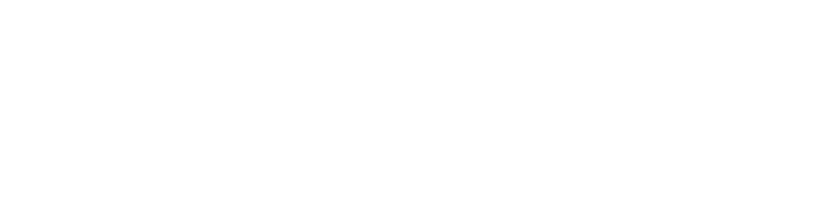 dhz fitness logo