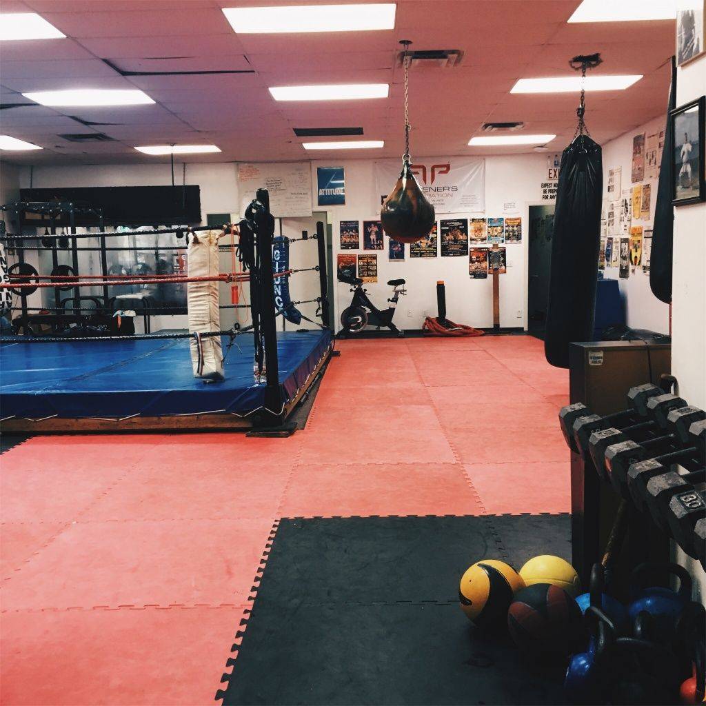 Kinh doanh phòng Gym có lời không? 3 xu hướng mở phòng Gym phổ biến nhất hiện nay 11 Kinh doanh phòng Gym theo bộ môn tập luyện