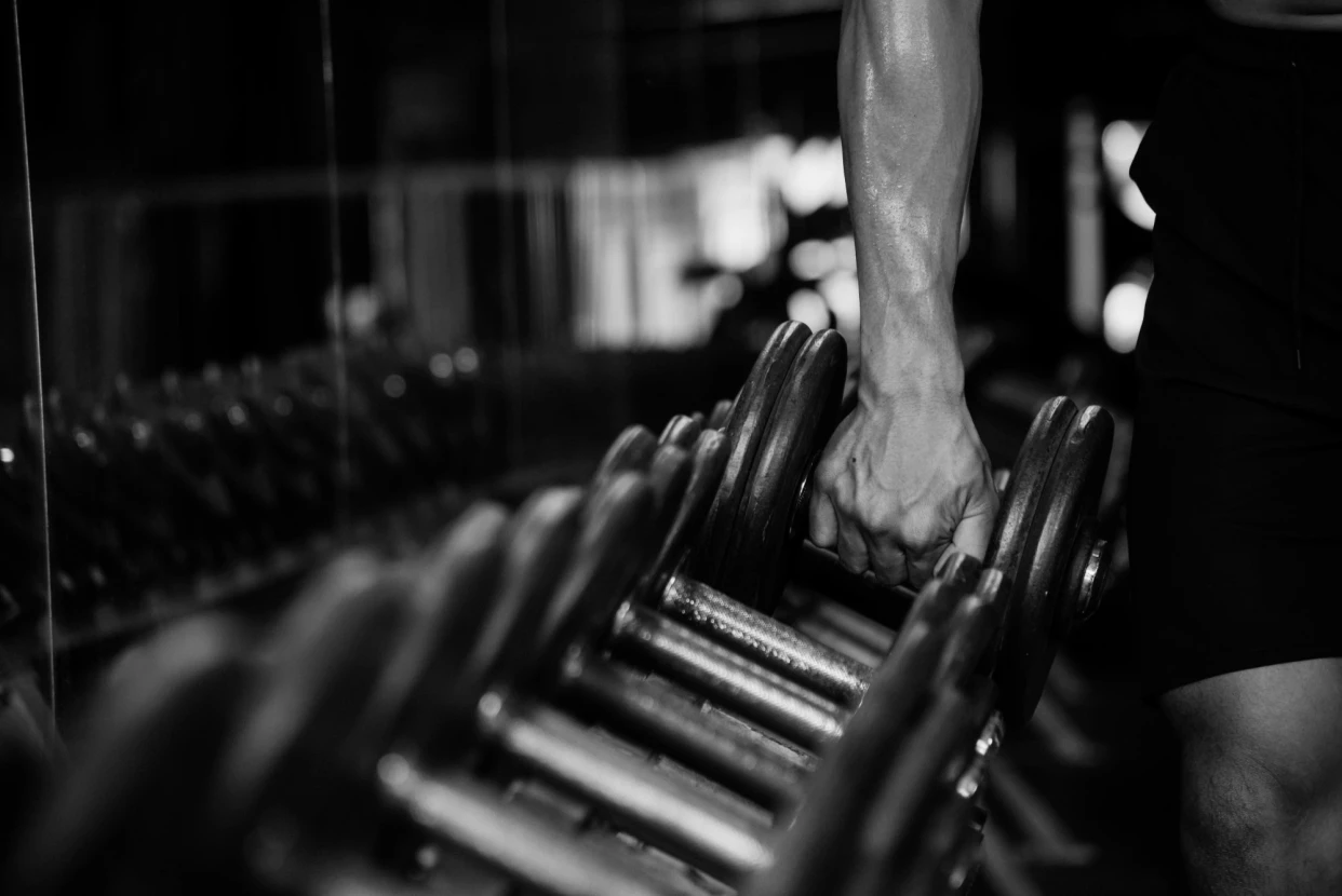 tam nhin su menh img