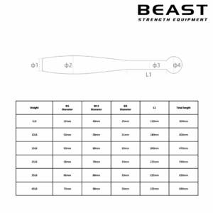 Tạ Clubbell - IronWod 11 Gậy tập Gym Clubbell IronWod của Beast Việt Nam