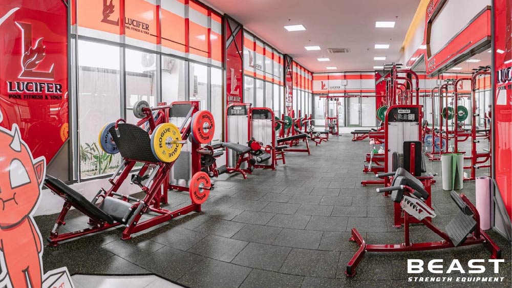 50+ Mẫu thiết kế phòng Gym cực đẹp và chuyên nghiệp 26 Beast strength Việt Nam các mẫu phòng gym chuyên nghiệp