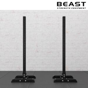Khung gánh tạ Squat tách rời IronWod của Beast Việt Nam