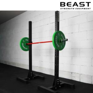 Khung gánh tạ Squat tách rời IronWod của Beast Việt Nam