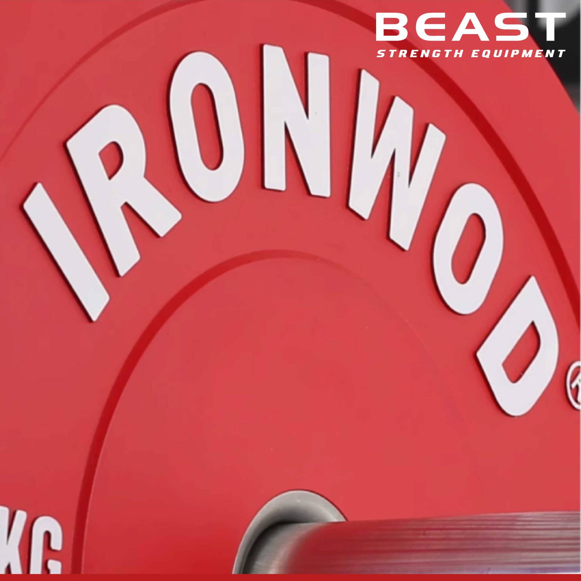 Tạ đĩa Ironwod Pro Colored Bumper Plate 22 Tạ đĩa Ironwod Pro Colored Bumper Plate