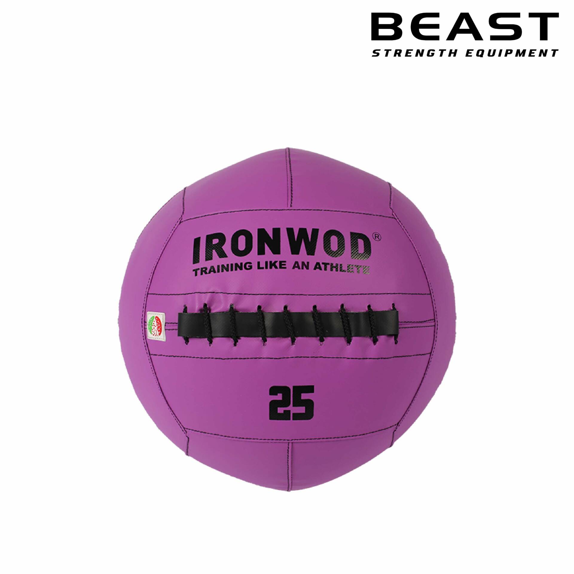 Bóng tường tập Gym wall ball IronWod của Beast Việt Nam