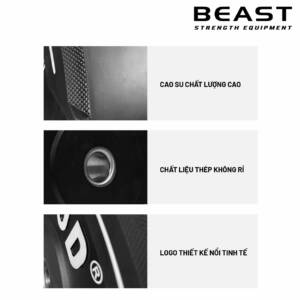 Đĩa tạ cầm tay màu đen IRONWOD 10 tạ đĩa bánh tạ cầm tay ironwod của beast Việt Nam