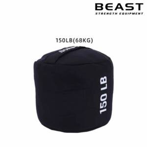 Bao cát tập thể lực IronWod 18 Bao cát sandbag tập thể lực Ironwod của Beast Việt Nam