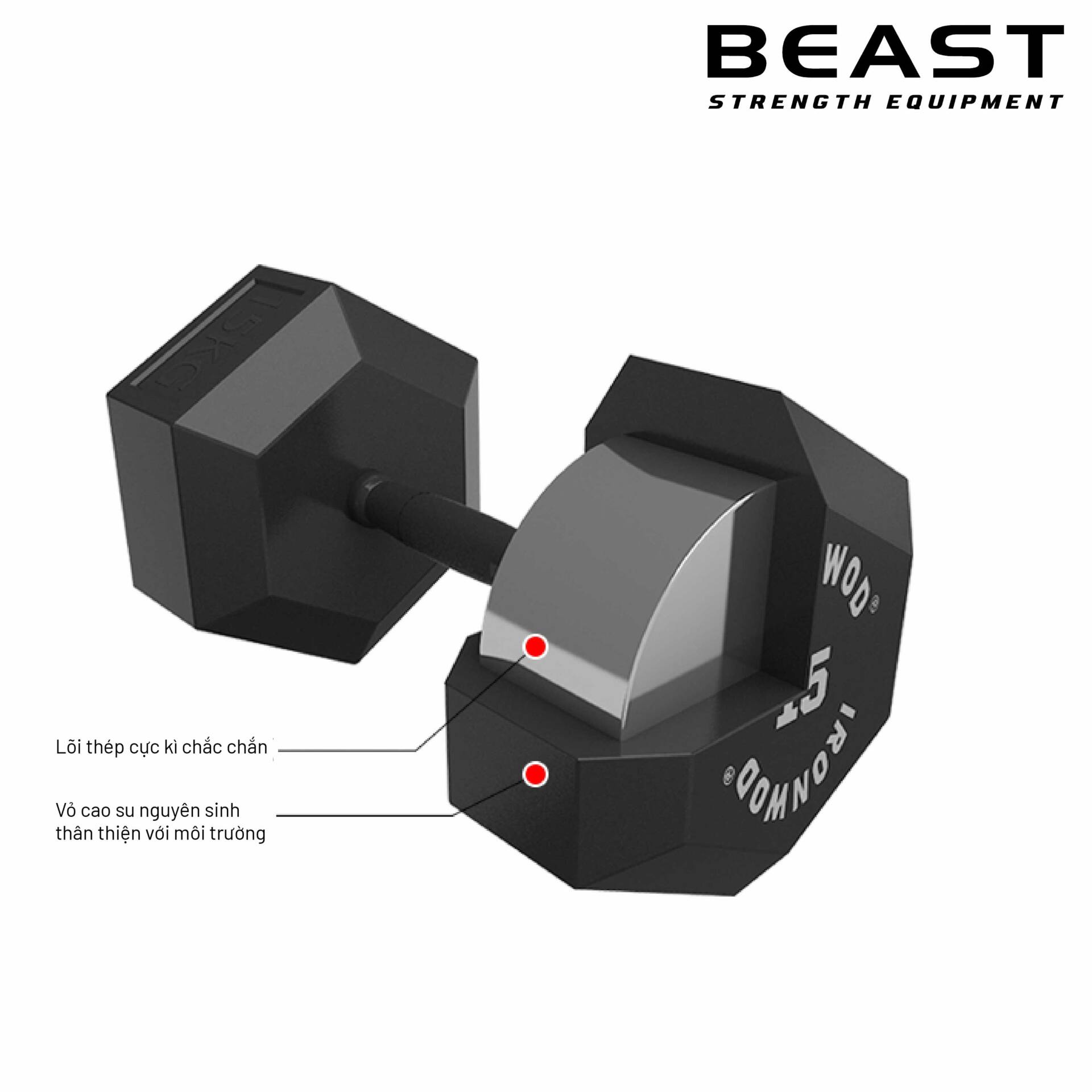 Tạ đơn lục giác IronWod 10 Tạ đơn lục giác lõi thép ironwod của Beast Việt Nam