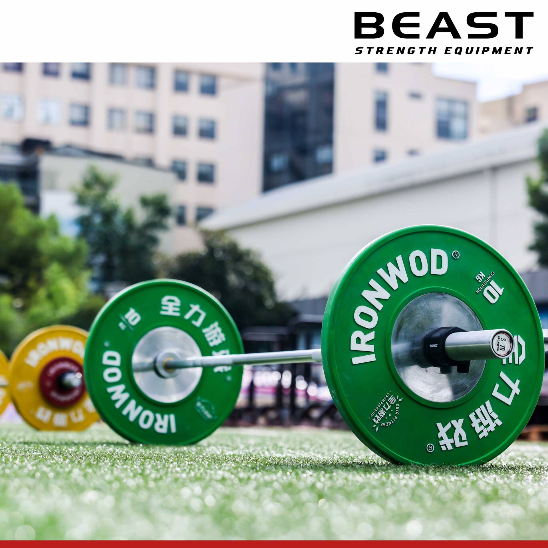 Tạ bánh thi đấu Competition Bumper Plate Ironwod