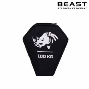 Túi cát thể lực IronWod Hercules 17 Túi cát thể lực sandbag IronWod Hercules của Beast Việt Nam