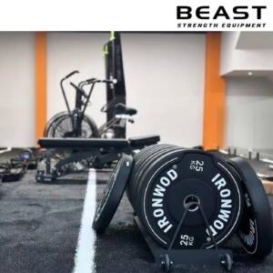 tạ đĩa bánh tạ cầm tay ironwod của beast Việt Nam