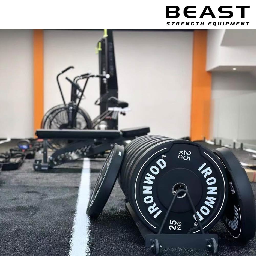 Đĩa tạ cầm tay màu đen IRONWOD 12 tạ đĩa bánh tạ cầm tay ironwod của beast Việt Nam