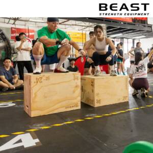 Bục gỗ bật nhảy jump box Ironwod của Beast Việt Nam