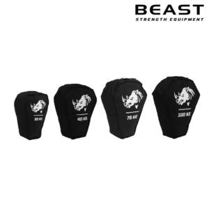 Túi cát thể lực IronWod Hercules 12 Túi cát thể lực sandbag IronWod Hercules của Beast Việt Nam