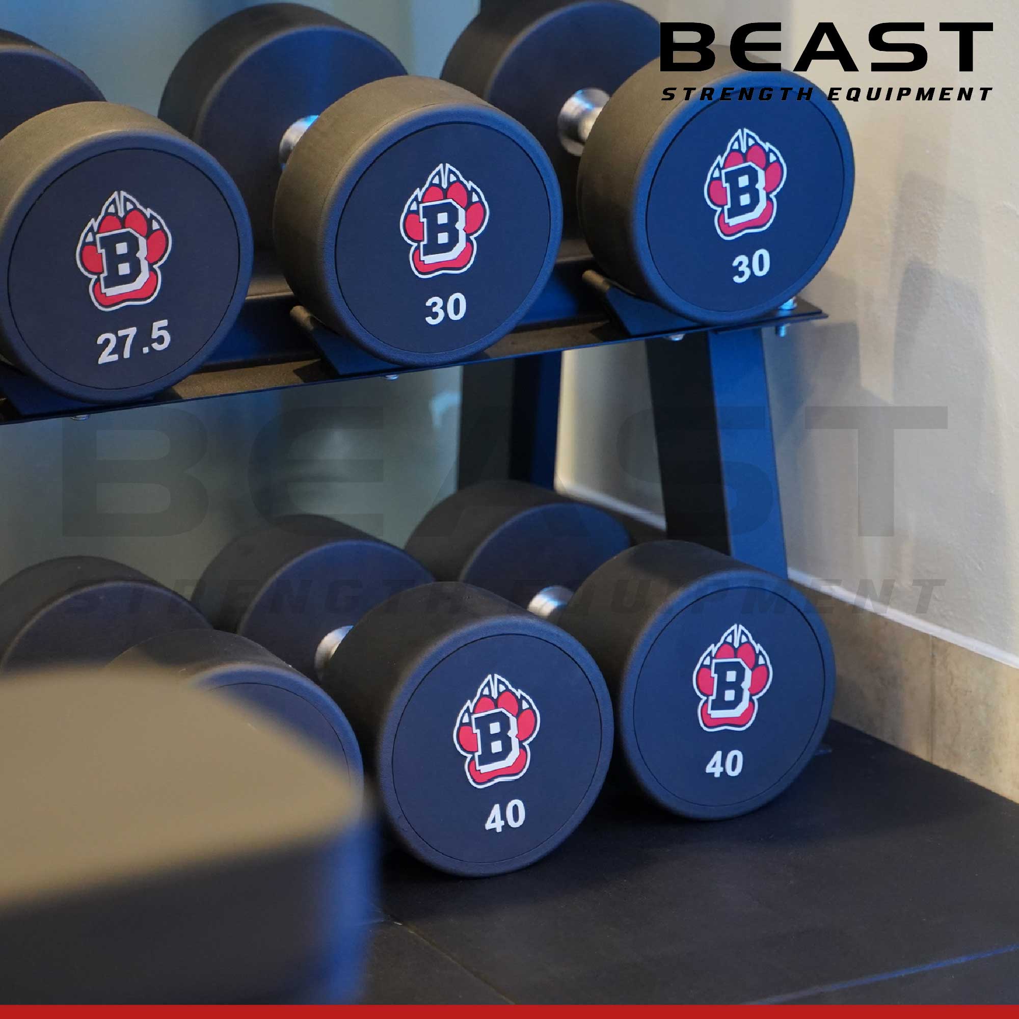 Tạ đơn dumbbell Beast