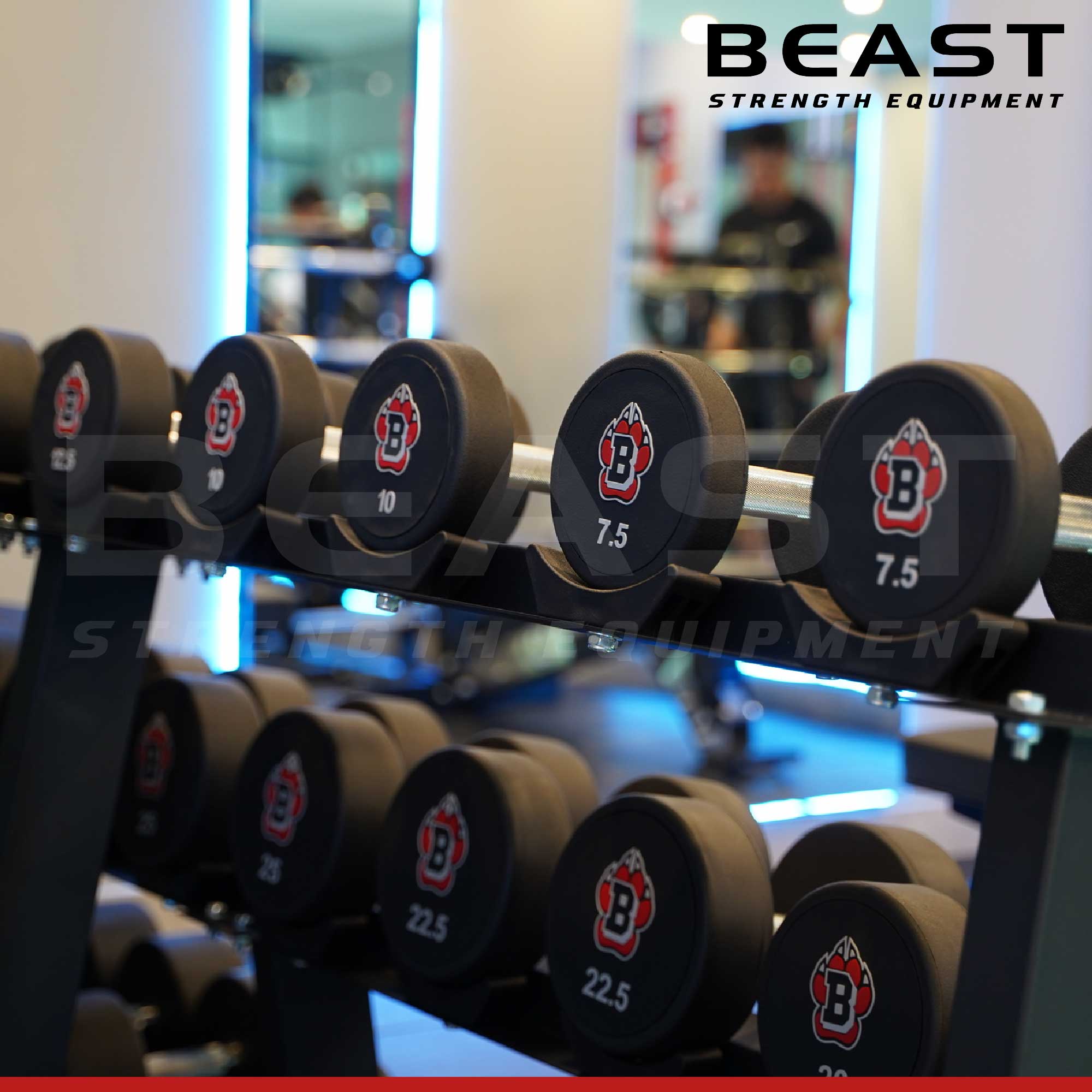 Tạ đơn dumbbell Beast