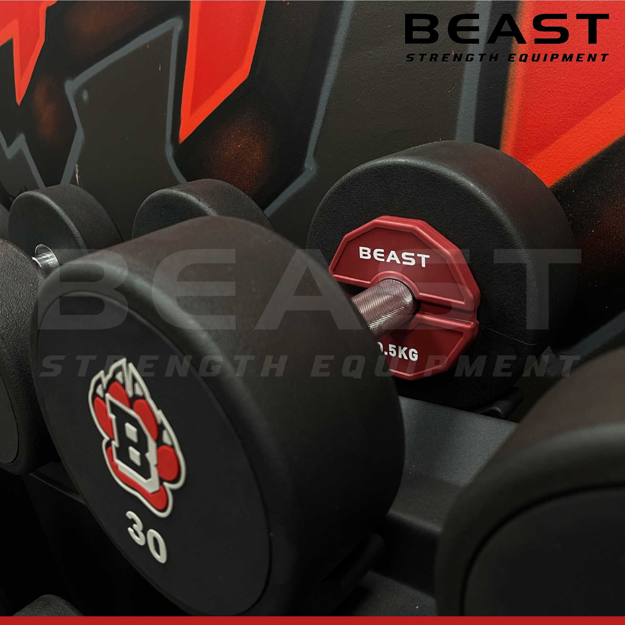 Tạ đơn dumbbell Beast