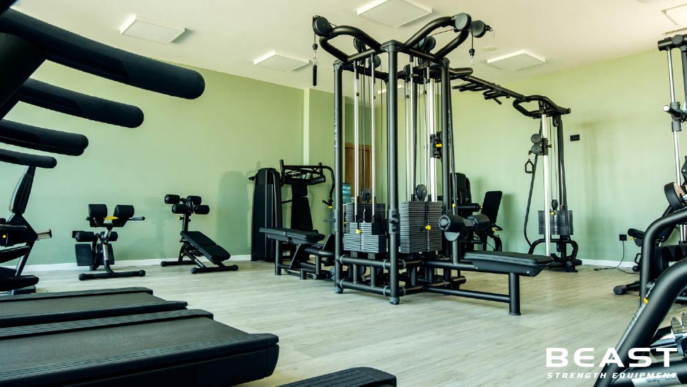 Setup phòng Gym 30m2 chuyên nghiệp, tối ưu chi phí 18 Beast strength Việt Nam setup phòng gym 30m2 chuyên nghiệp