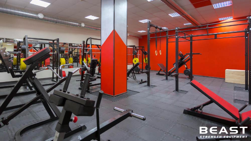 50+ Mẫu thiết kế phòng Gym cực đẹp và chuyên nghiệp 35 Beast strength Việt Nam các mẫu phòng gym chuyên nghiệp