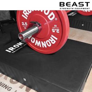 Miếng đệm thả tạ IronWod 14 Miếng đệm tạ IronWod của Beast Việt Nam