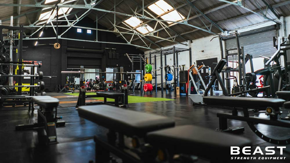 50+ Mẫu thiết kế phòng Gym cực đẹp và chuyên nghiệp 34 Beast strength Việt Nam các mẫu phòng gym chuyên nghiệp