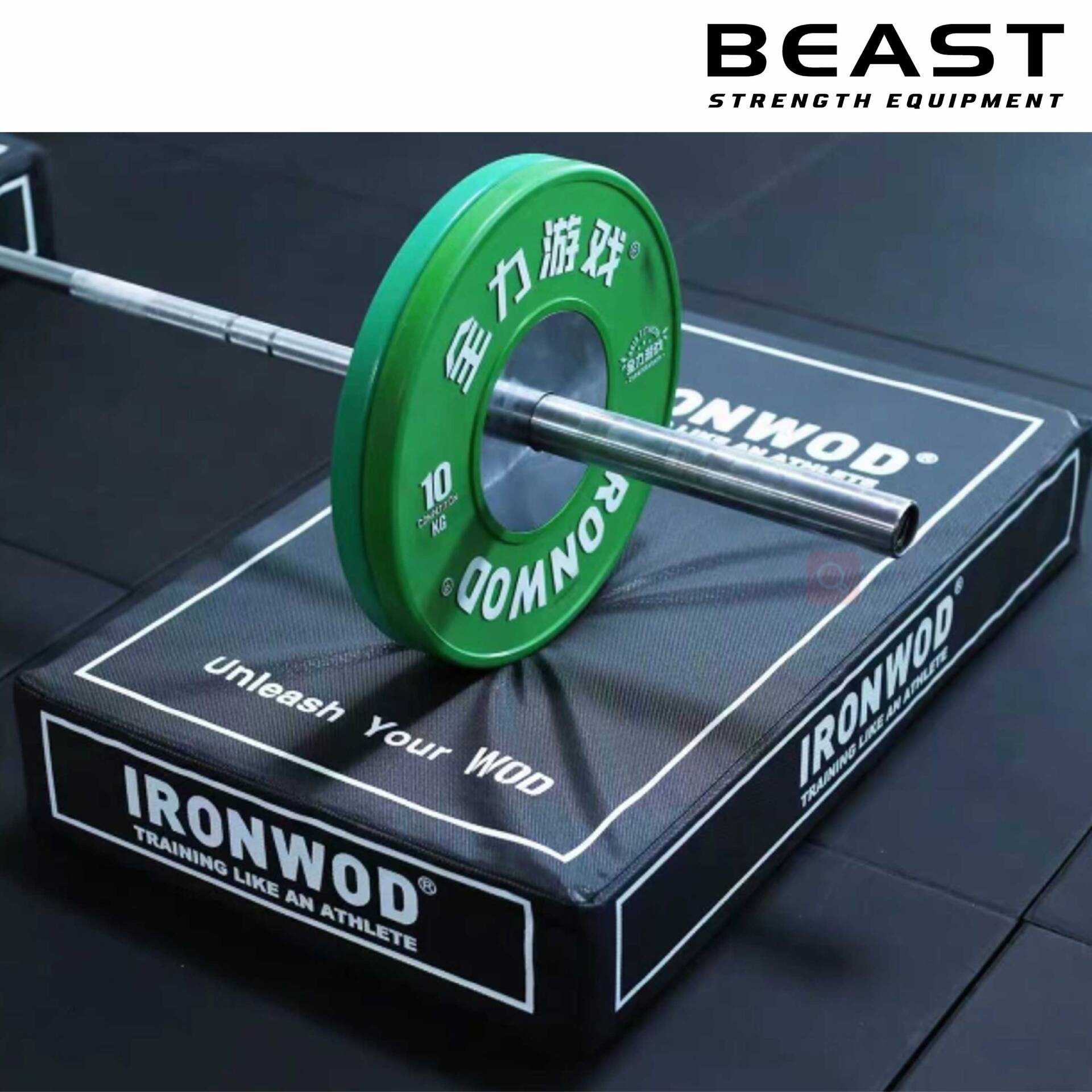 Miếng đệm thả tạ IronWod 2 Miếng đệm tạ IronWod của Beast Việt Nam