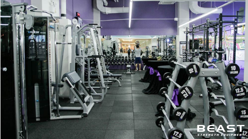 50+ Mẫu thiết kế phòng Gym cực đẹp và chuyên nghiệp 33 Beast strength Việt Nam các mẫu phòng gym chuyên nghiệp