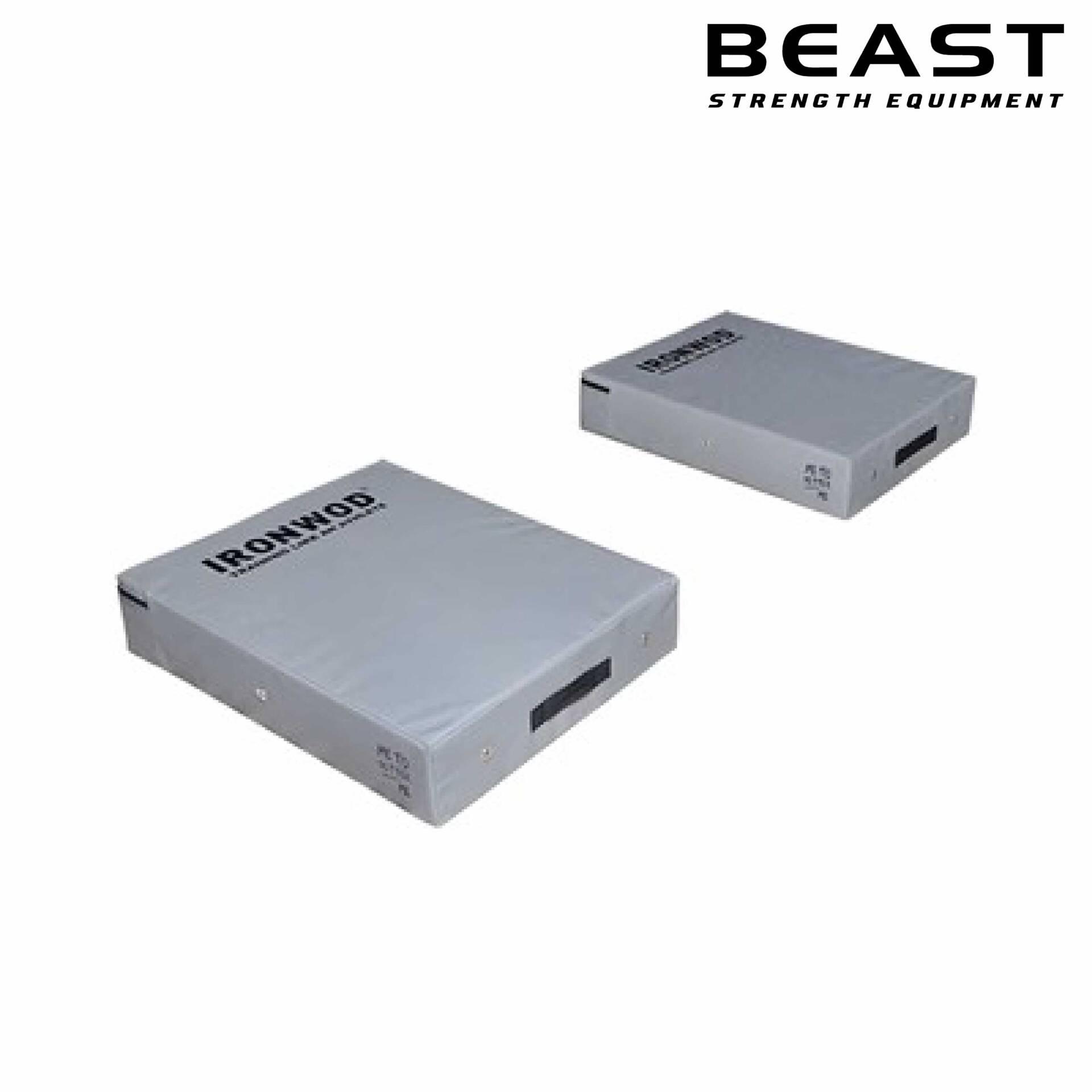 Miếng đệm thả tạ IronWod 10 Miếng đệm tạ IronWod của Beast Việt Nam