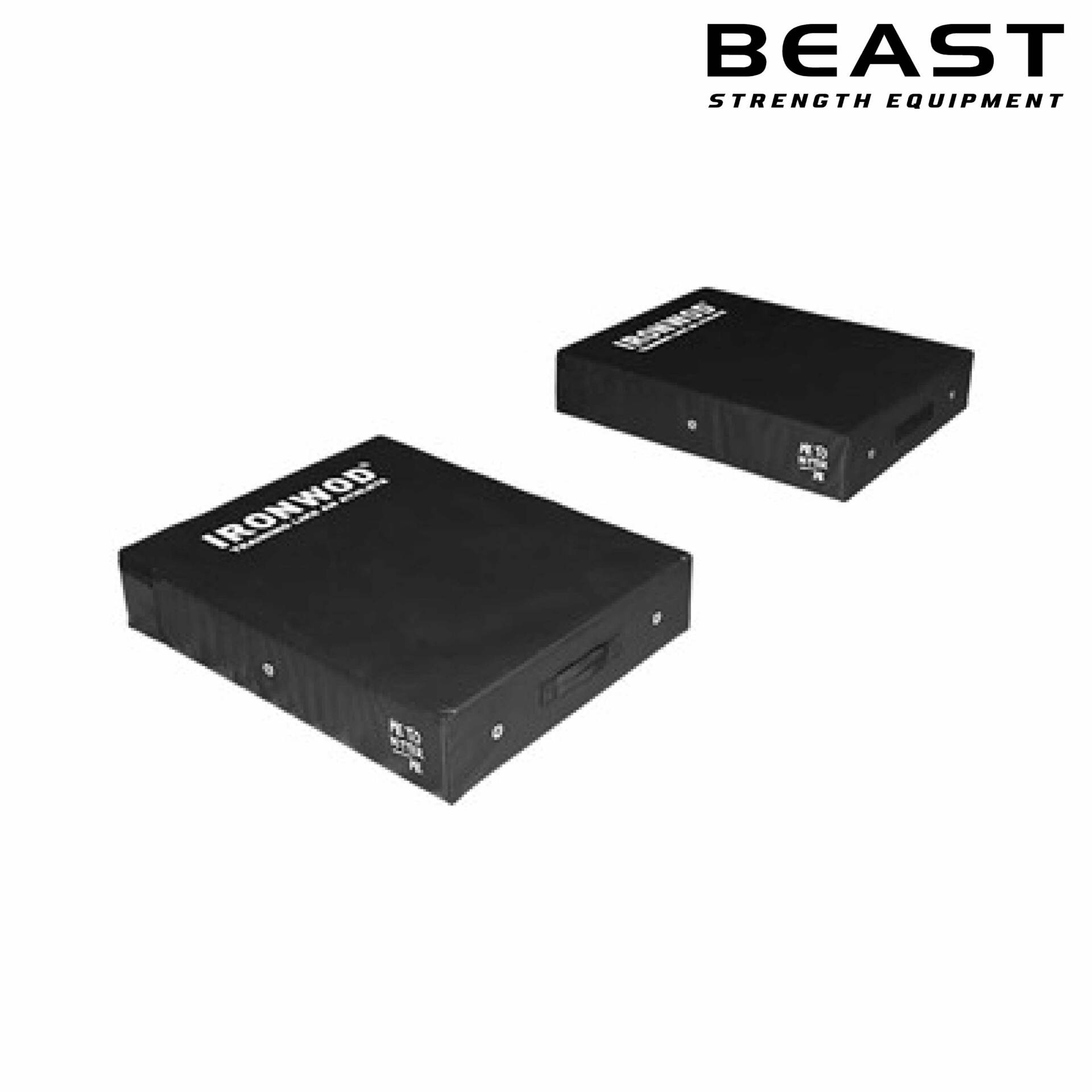 Miếng đệm thả tạ IronWod 9 Miếng đệm tạ IronWod của Beast Việt Nam