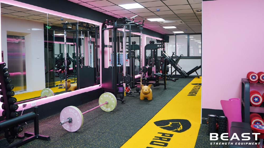 Setup phòng Gym chuyên nghiệp, trọn gói với quy trình từ A-Z 36 Beast strength Việt Nam setup phòng gym chuyên nghiệp