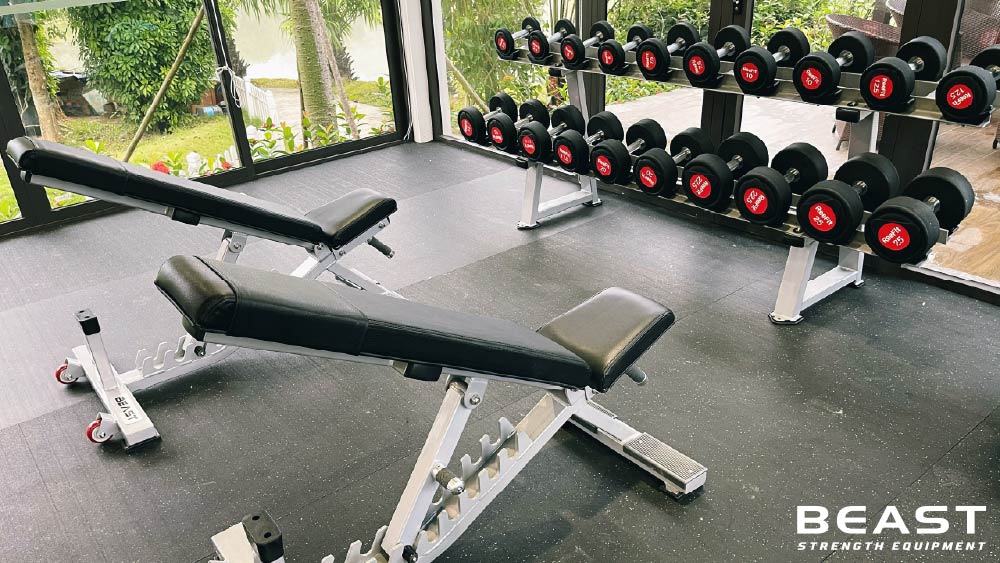 Hướng dẫn cách Setup phòng Gym cho khách sạn, resort 8 Beast strength Việt Nam setup phòng gym cho khách sạn, resort