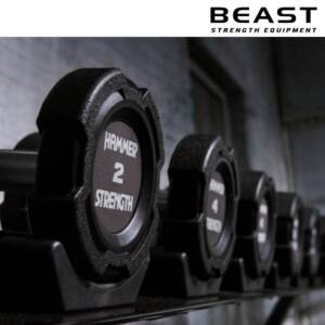 Tạ tay hammer strength của beast Việt Nam