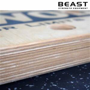 Ván leo núi IronWod Peg Board 23 Ván leo núi trong nhà peg board Ironwod của Beast Việt Nam