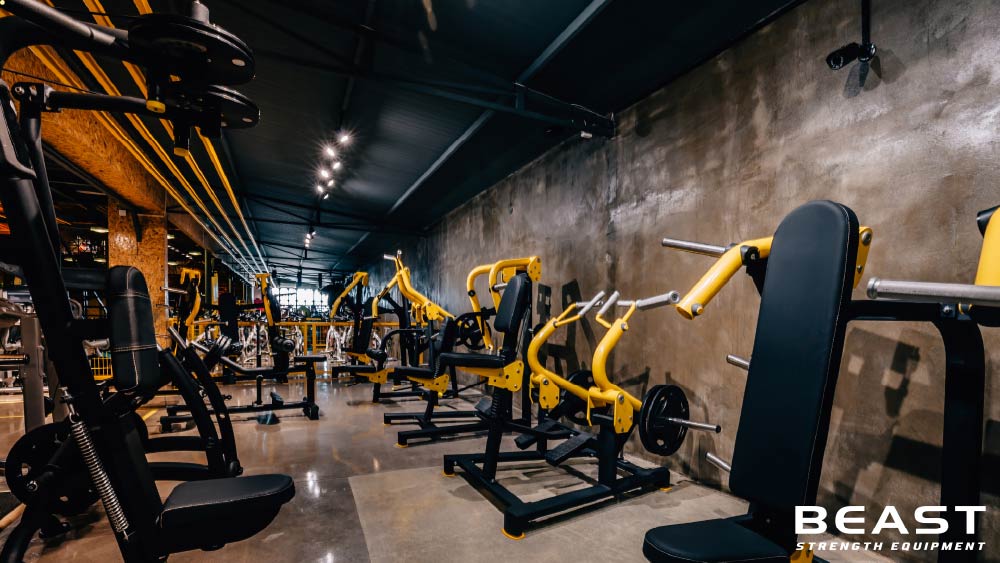 50+ Mẫu thiết kế phòng Gym cực đẹp và chuyên nghiệp 38 Beast strength Việt Nam các mẫu phòng gym chuyên nghiệp