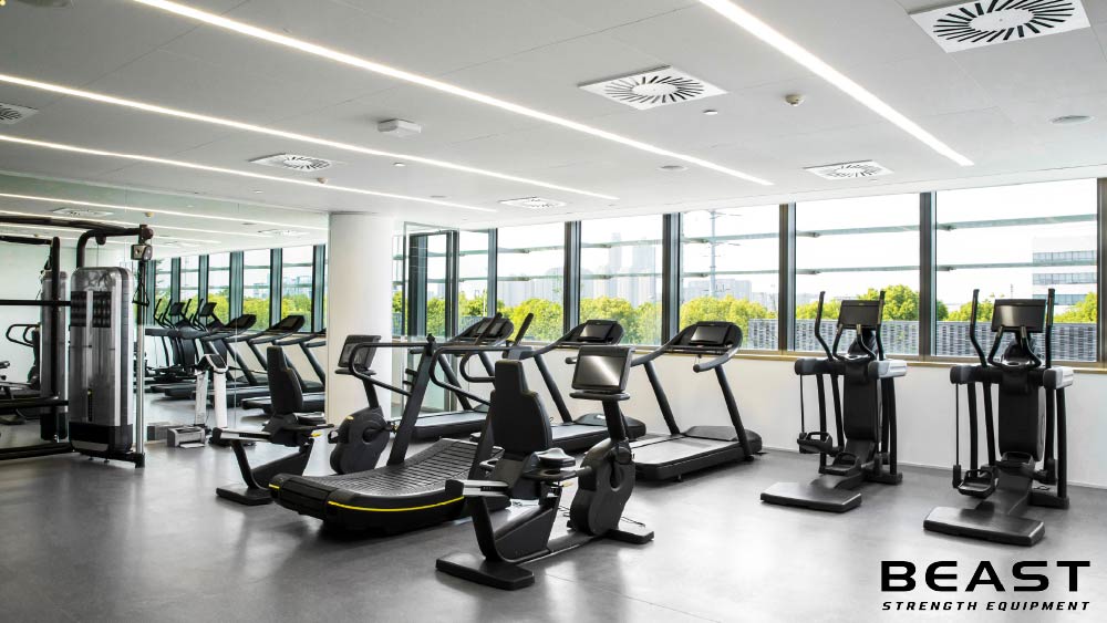 50+ Mẫu thiết kế phòng Gym cực đẹp và chuyên nghiệp 24 Beast strength Việt Nam các mẫu phòng gym chuyên nghiệp