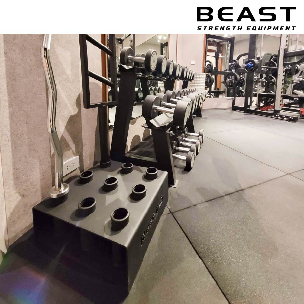 Giá cắm thanh đòn 9 lỗ 4 Giá cắm thanh đòn 9 lỗ IronWod của Beast Việt Nam