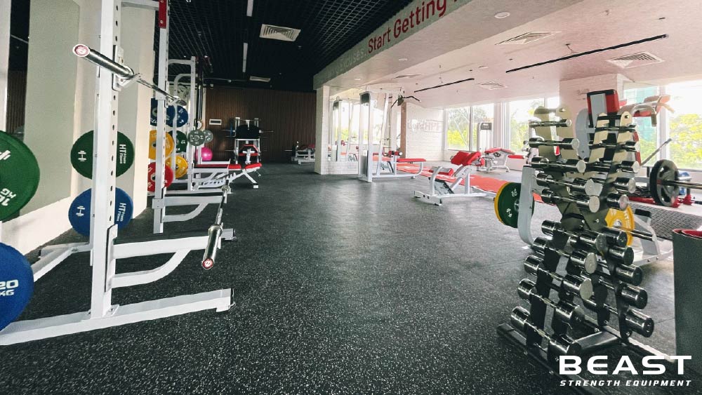 Beast strength Việt Nam setup phòng gym 150m2
