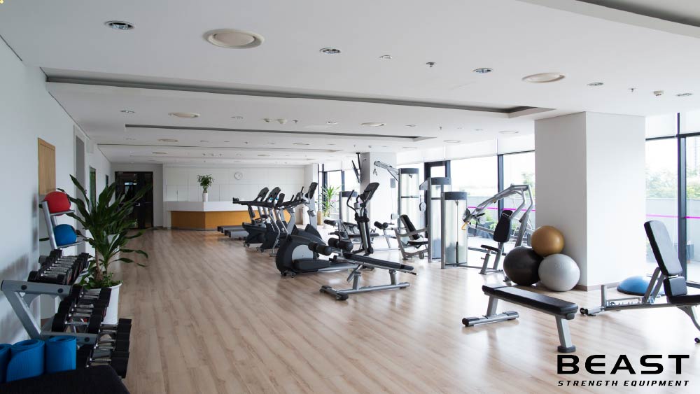 50+ Mẫu thiết kế phòng Gym cực đẹp và chuyên nghiệp 28 Beast strength Việt Nam các mẫu phòng gym chuyên nghiệp