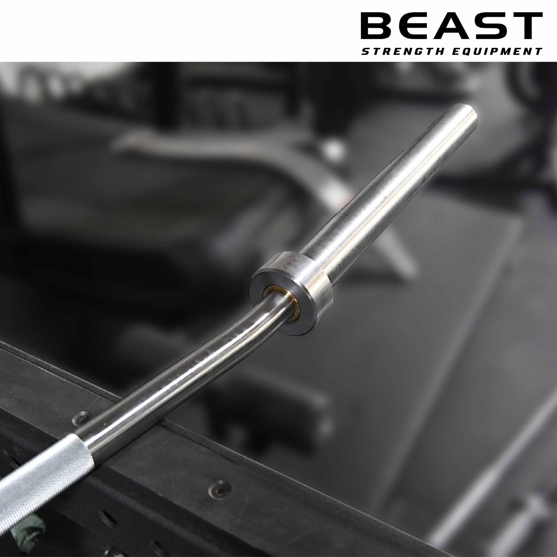 Thanh đòn tạ squat Buffalo IRONWOD của Beast Việt Nam