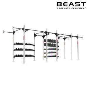 Giàn tập Crossfit treo tường IronWod của Beast Việt Nam