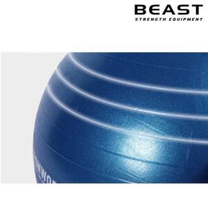 Bóng tập Yoga IronWod màu xanh 6 Bóng tập Yoga IronWod màu xanh của Beast Việt Nam