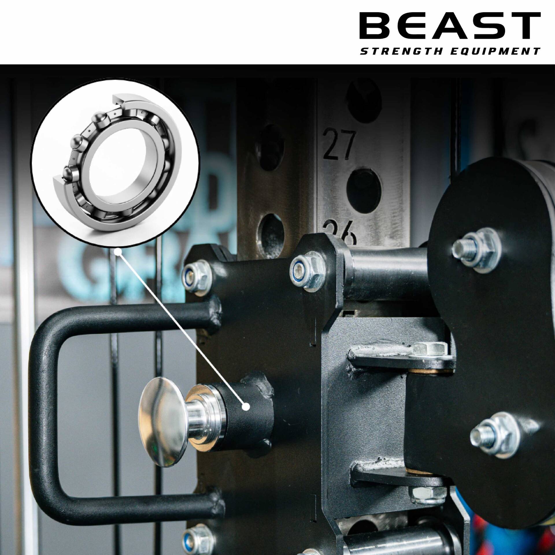 ổ bi ròng rọc cho giàn tạ đa năng Beast