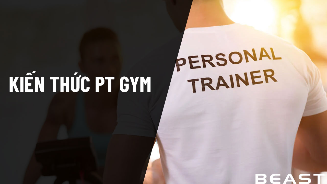 Kiến thức PT Gym