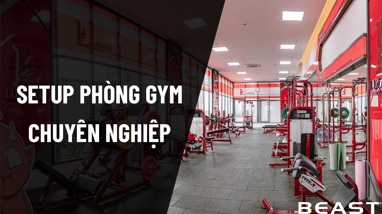Setup phòng Gym chuyên nghiệp - Beast Việt Nam