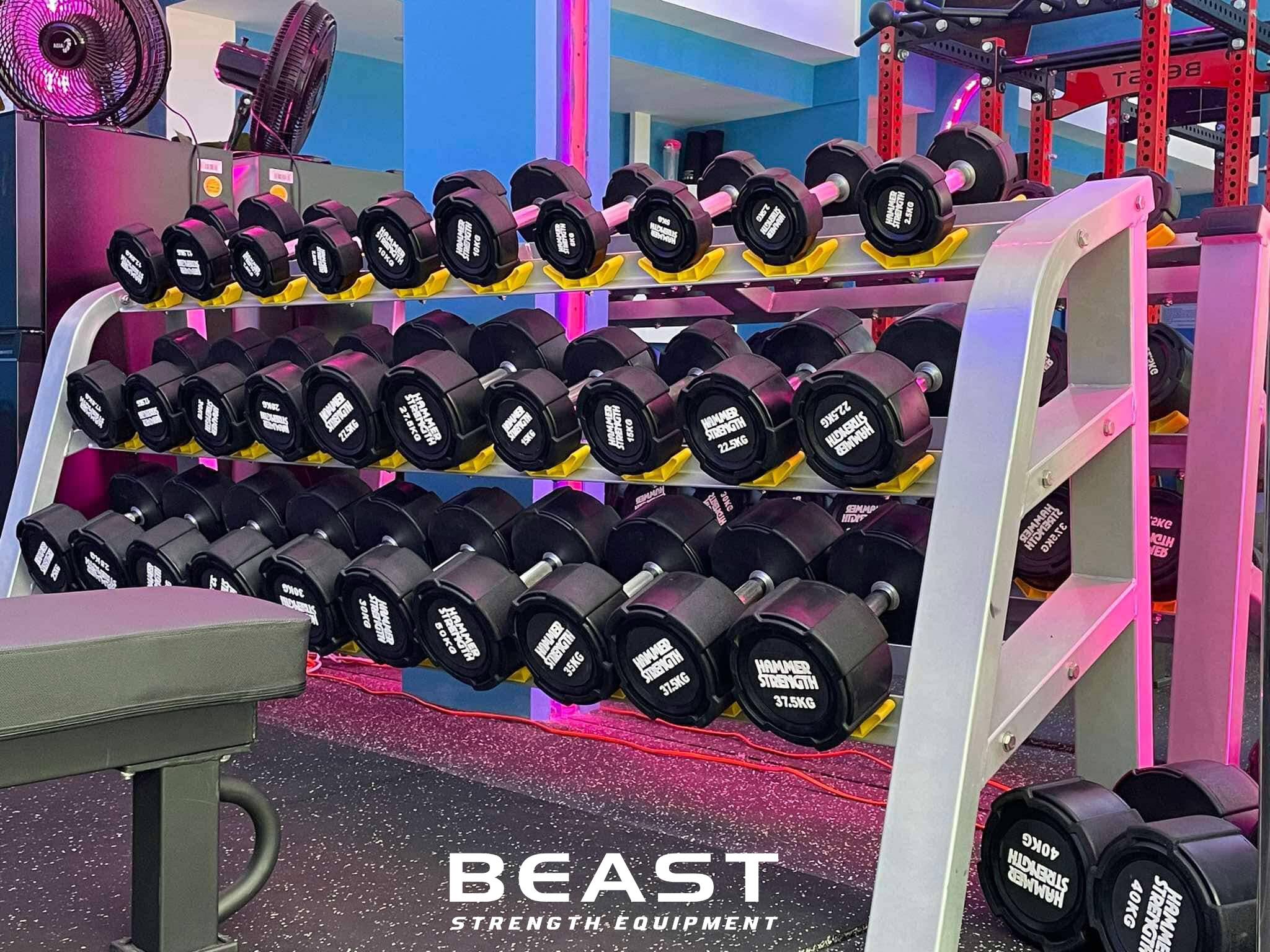 Zeus Private Gym - Sức mạnh đỉnh cao từ Beast Setup phòng Gym 2025 7 Dự án Beast setup phòng gym Zeus Private gym
