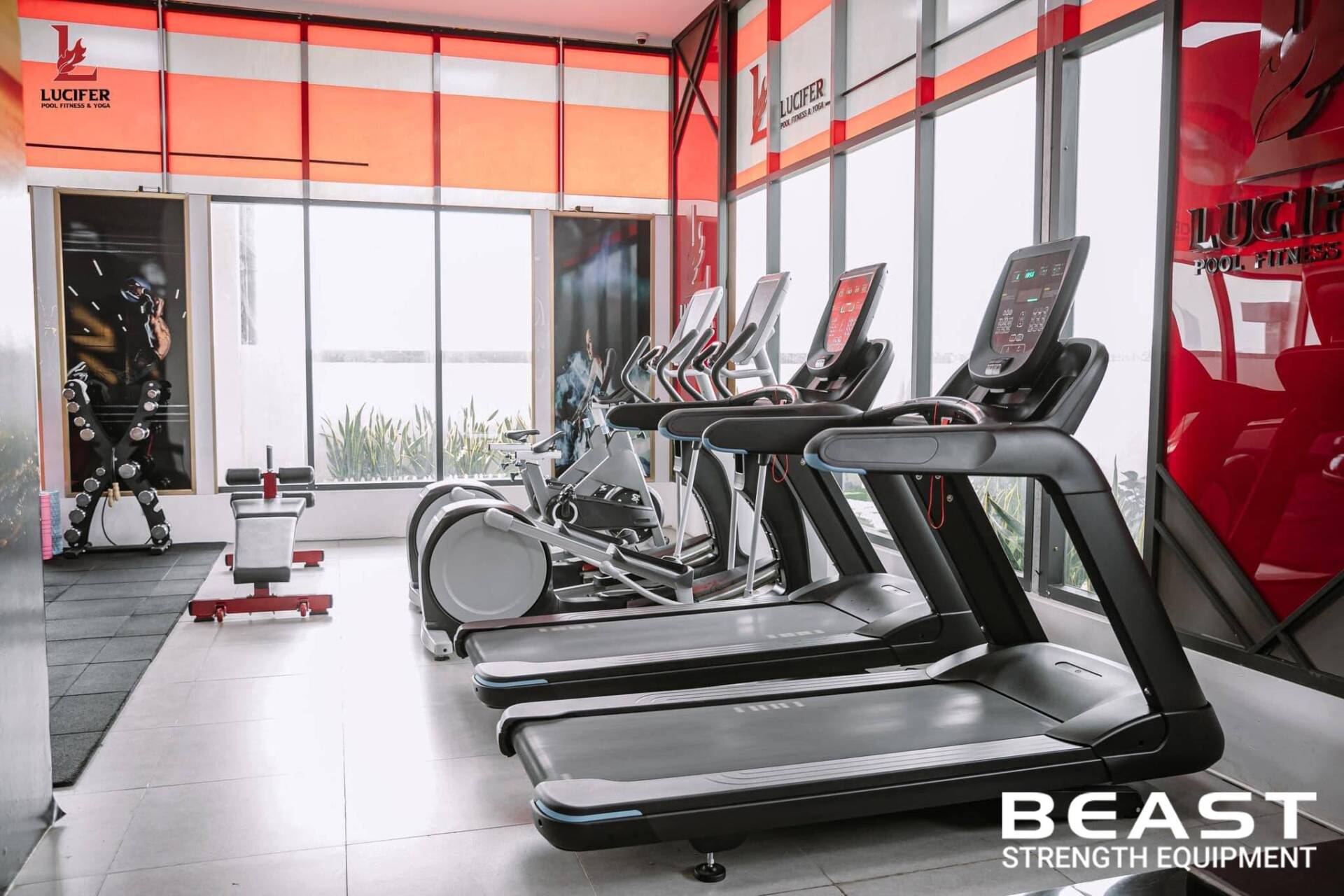 Lucifer: Dự Án Beast Setup Phòng Gym Cao Cấp 10 Dự án Beast setup phòng gym Lucifer