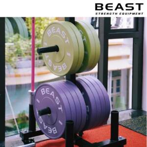 Set tạ đĩa BEAST Candy Bumper Plate 11 BEAST Pastel Bumper Plate