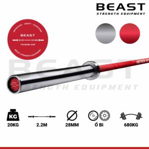 Thanh tạ Beast never give up