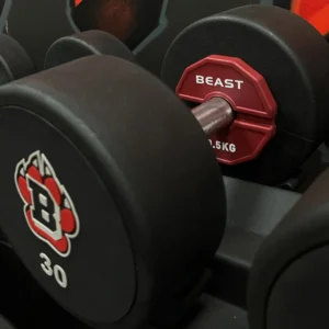 Cặp Tạ Add-on Change Plate 0.5kg Beast Strength 11 Cap ta add on Beast strength 0.5kg 2 e1726137494289