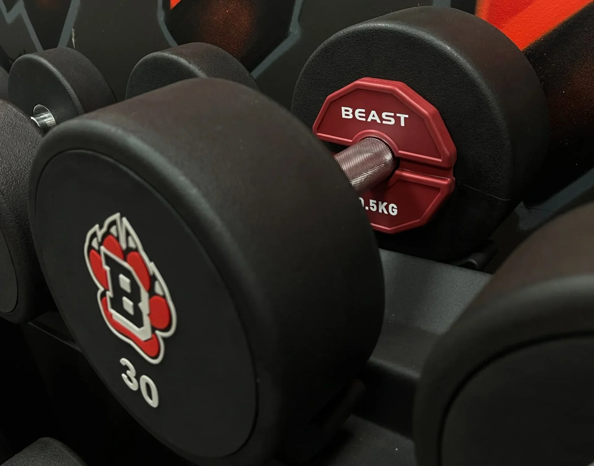 Cặp Tạ Add-on Change Plate 0.5kg Beast Strength 5 Cap ta add on Beast strength 0.5kg 2 e1726137494289